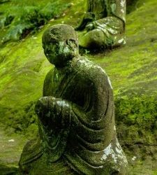 The Ways Our Desire Makes Us Suffer