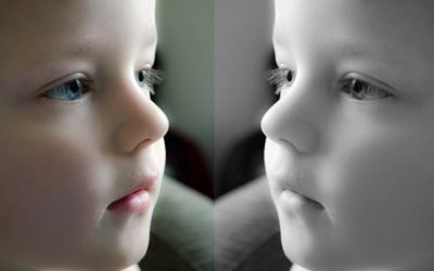 The Value in Learning Another’s Perspective?