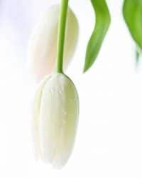 How to Recognize Grief in its Many Forms