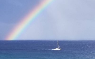 Why Slowing Down is the Best Way To Catch Up