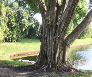 How To Get Free When “They” Don’t Change