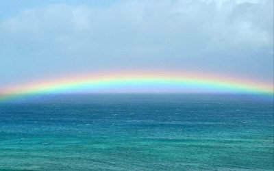 Why Change is Scary and How to Overcome Fear